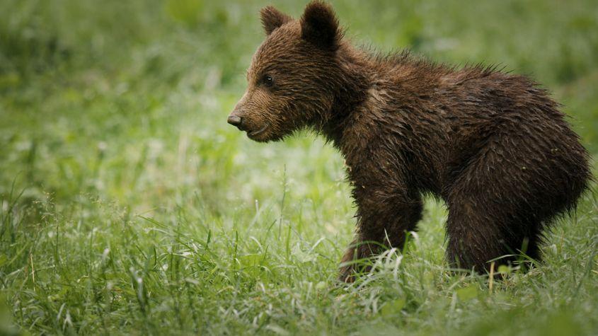 © Christian Baumeister, Light & Shadow GmbH