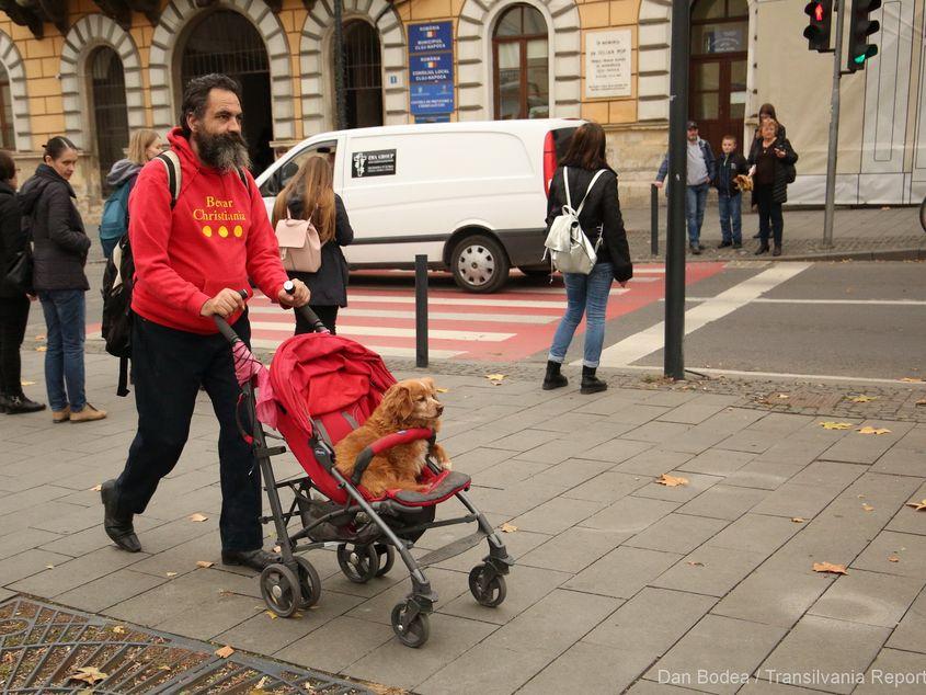 Lazăr Meșter și Pufi, în centrul Clujului Foto: Dan Bodea - Transilvania reporter
