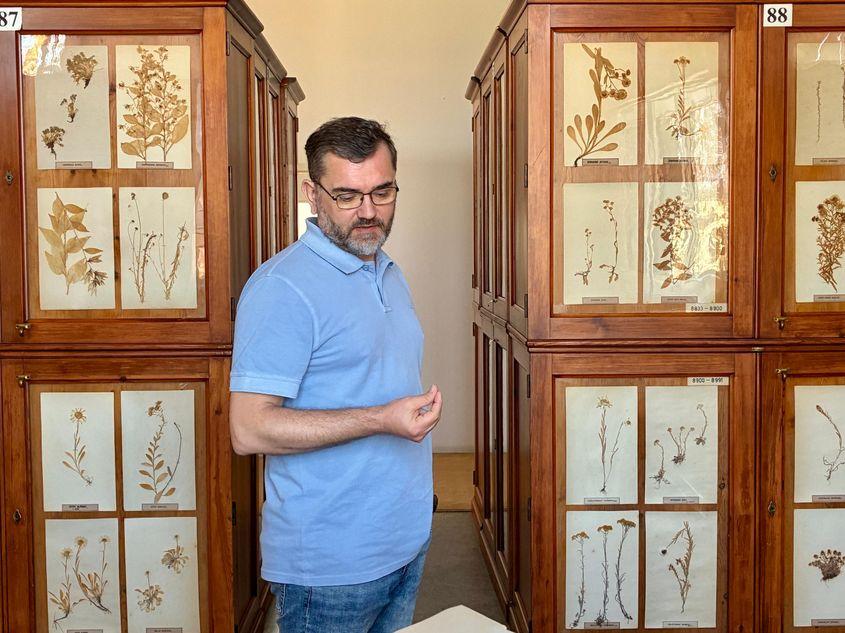 Herbarium-ul vechi de câteva sute de ani aflat în custodia Grădinii Botanice din Cluj-Napoca. Foto: Ioachim Bojan (c)