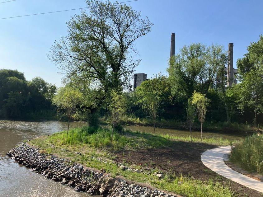 Coșurile de fum de la Carbochim, profilate prin vegetația de pe malul Someșului Mic, vedere dinspre parcul Armătura. Foto: Bianca Felseghi