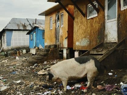 Toxic. Pericolul care mocnește la Pata Rât - locul unde oamenii se îmbolnăvesc trăind peste gunoaiele în putrefacție ale Clujului (2)