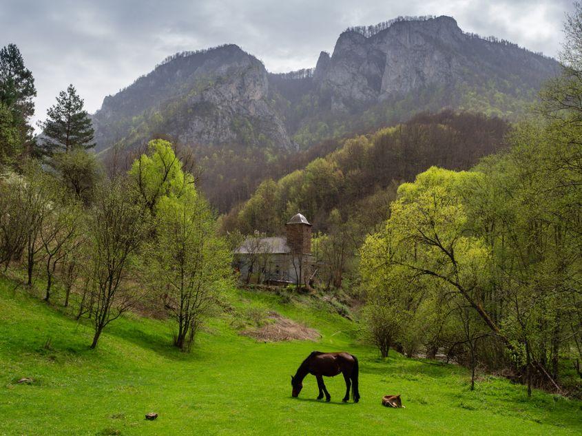 Vedere spre Piscul Vulturului. Foto: Raul Ştef