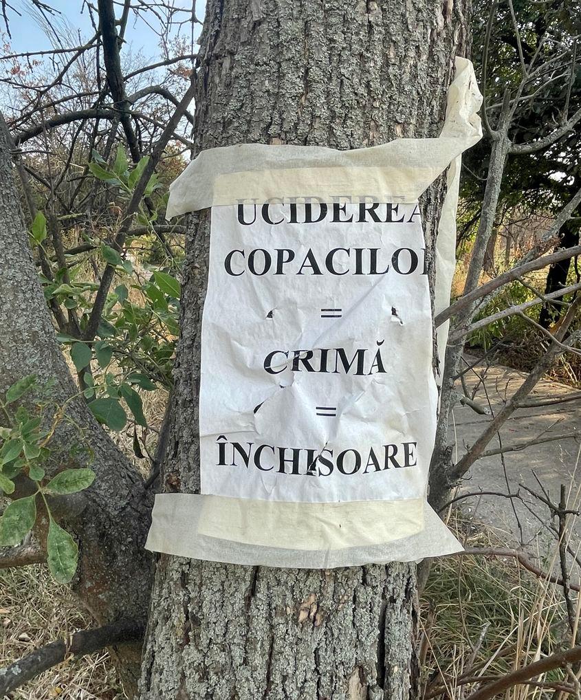 Foto: Alex Olaru