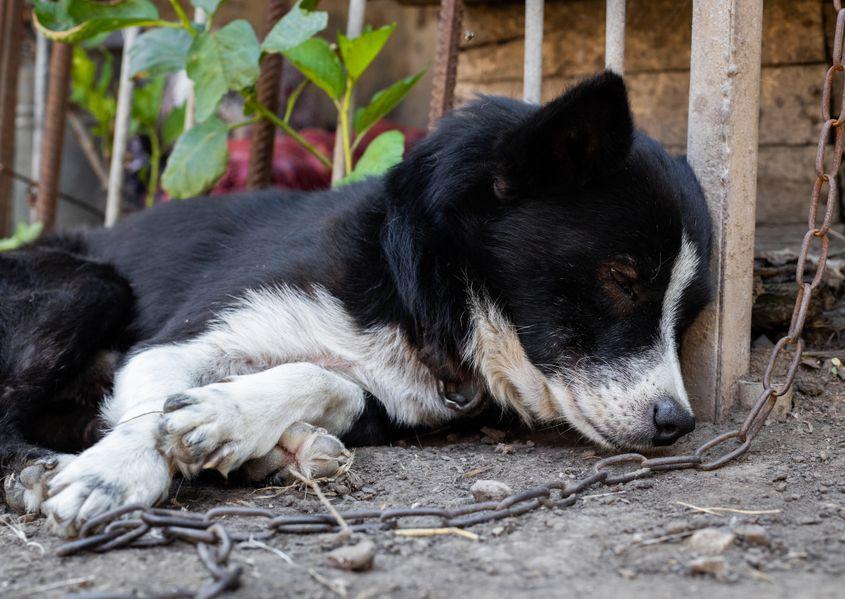 Foto: ID 304658190 ©
Nataliya Korchmar | Dreamstime.com