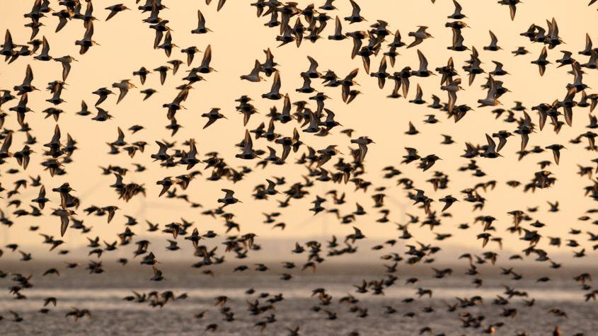 © Christian Baumeister, Light & Shadow GmbH