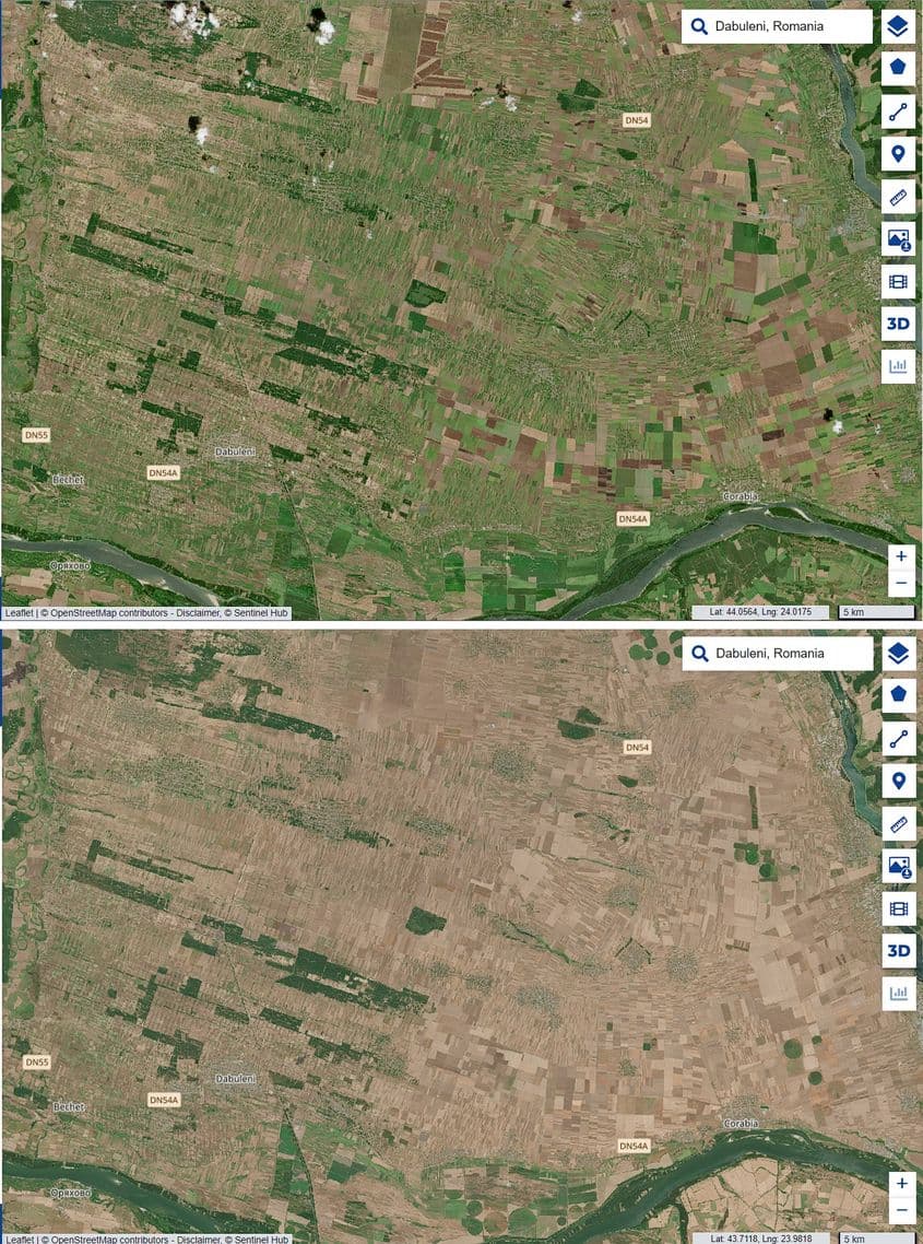Zona Bechet-Dăbuleni-Corabia în iulie 2017 (sus) vs aceeași zonă în iulie 2024 (jos). Capturi foto via Copernicus