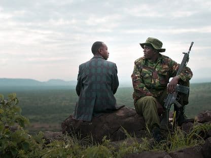 Pelicam pentru animale bolnave