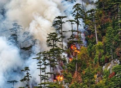 De ce România nu cere ajutor european, cu toate că ard 400 de hectare din Domogled? Incendiul care arde de aproape o lună parcul național