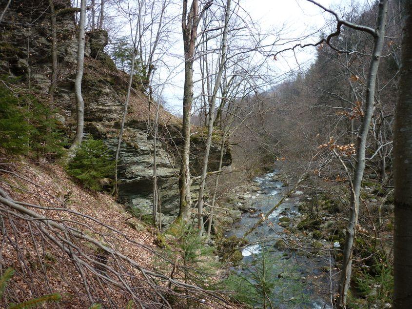 Râul Alb. Foto: Călin Dejeu