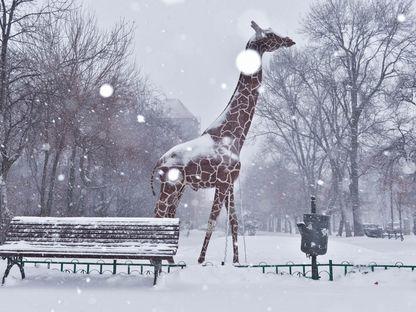 La grande bellezza: iarna pe Calea Victoriei
