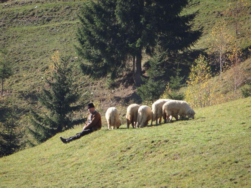 Foto © Ducados | <a target="_blank" href="http://dreamstime.com" target="_blank" rel="noreferrer noopener">Dreamstime.com</a>