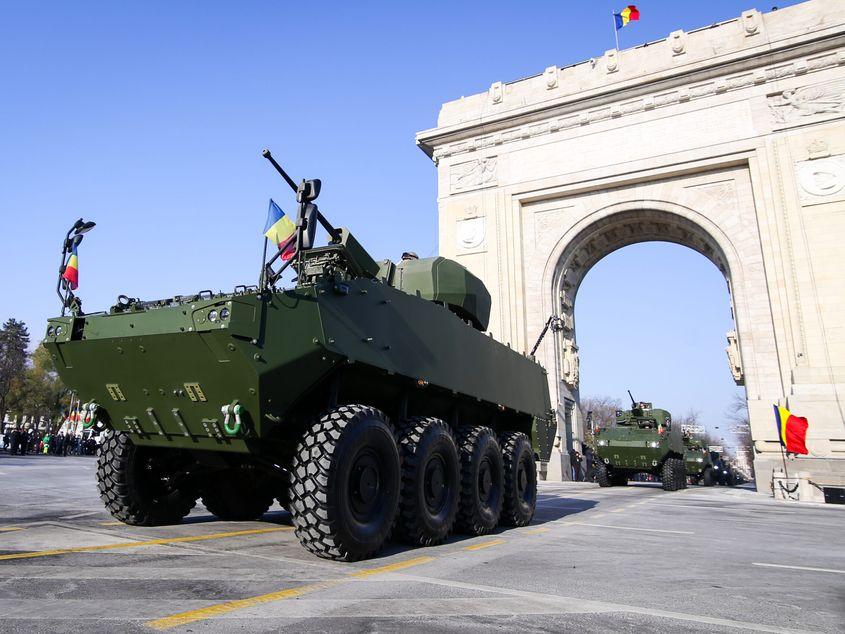 Blindat Piranha. Sursa foto: © Cateyeperspective | Dreamstime.com