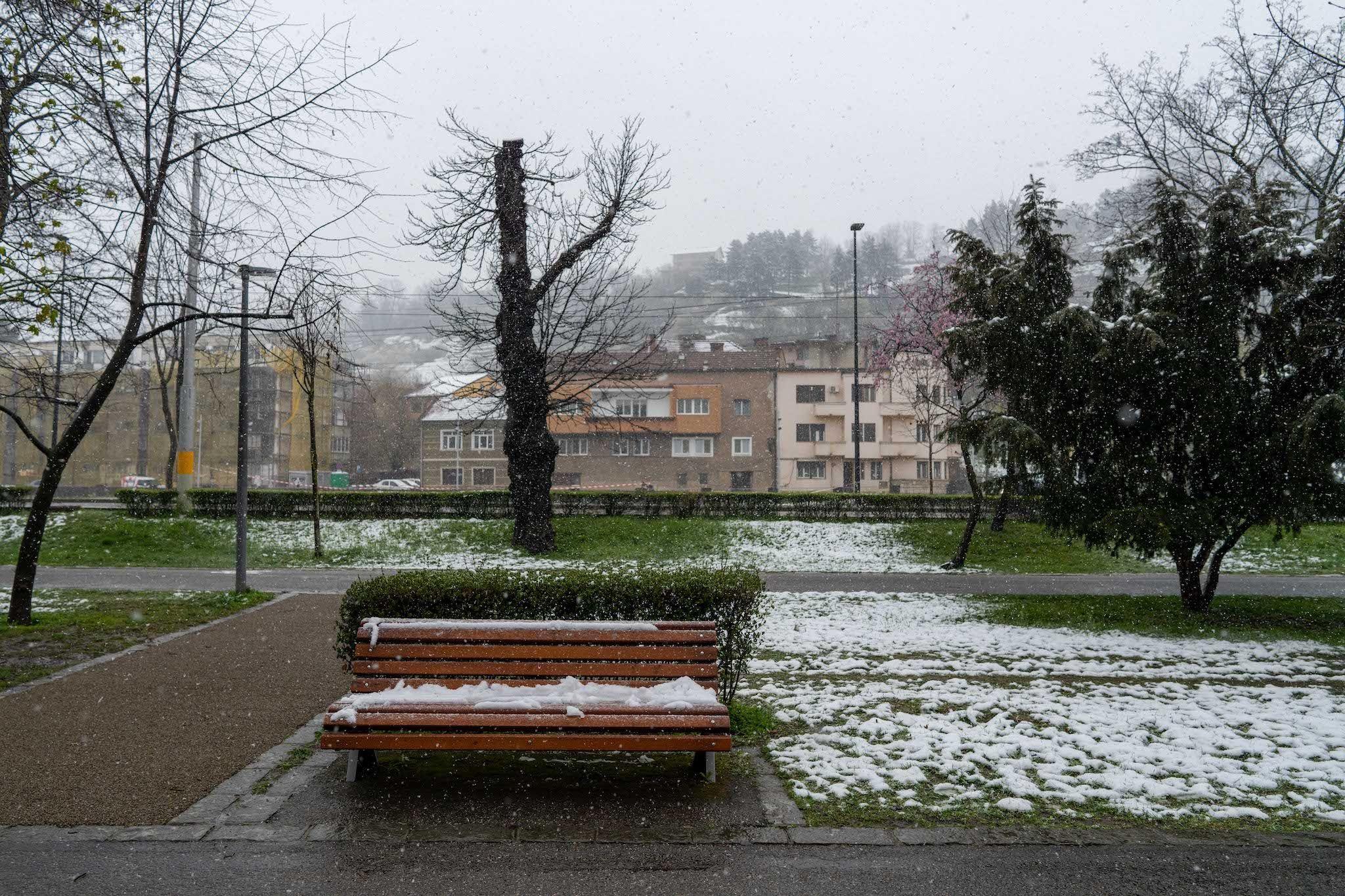 Toaletare în parcul Central. Foto: Raul Ștef