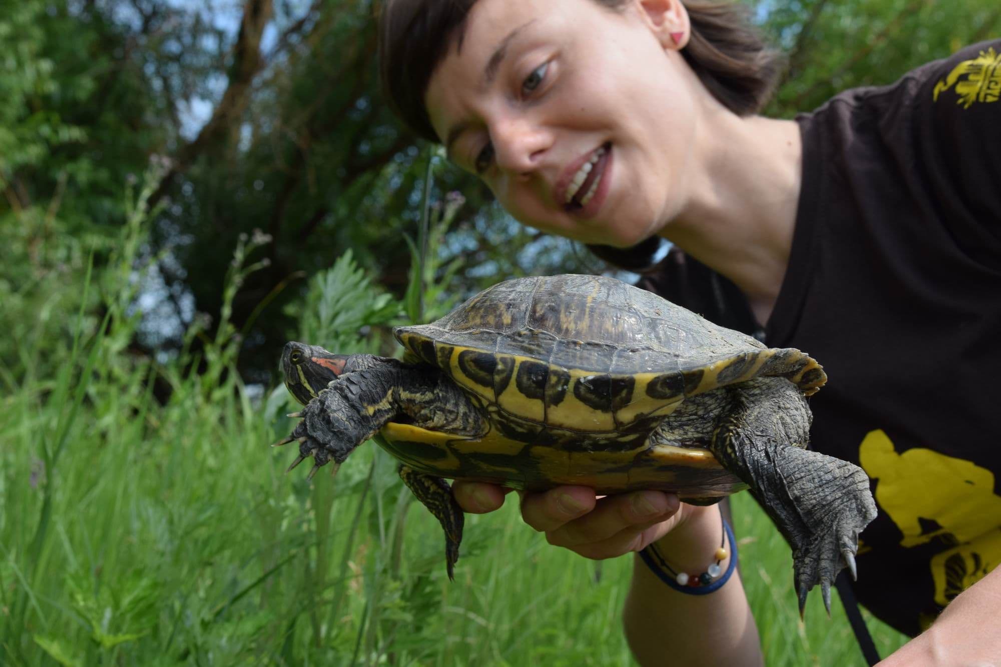 Gabriela Poiană și o țestoasă, Parcul Natural Văcărești. Parcul a fost lăsat de izbeliște de autorități, dar <a target="_blank" href="https://pressone.ro/podcasturile-biodiversitatii-parcul-natural-vacaresti-oaza-din-sanul-orasului" target="_blank" rel="noreferrer noopener">mai există încă speranță</a>. Foto: Lucian Muntean