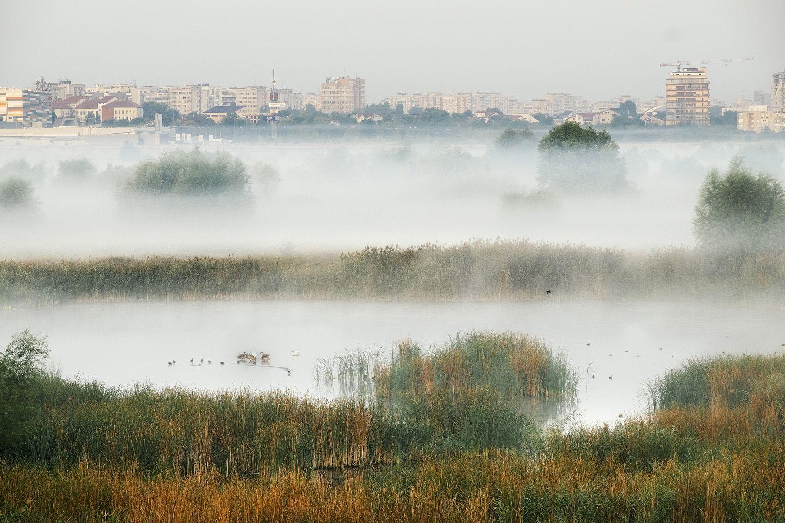 Foto: Helmut Ignat, Asociația Parcul Natural Vacărești