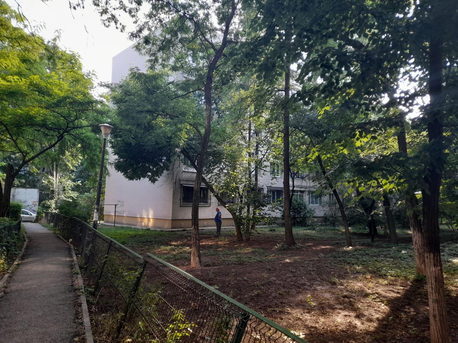 Așa arată, în 2022, spațiul verde dintre blocurile pe lângă care se juca Mihnea când era copil