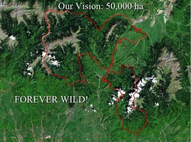 Un slide dintr-o prezentare făcută de Christoph Promberger în 2010. Întreaga prezentare poate fi consultată aici. Sursa: slideshare.net