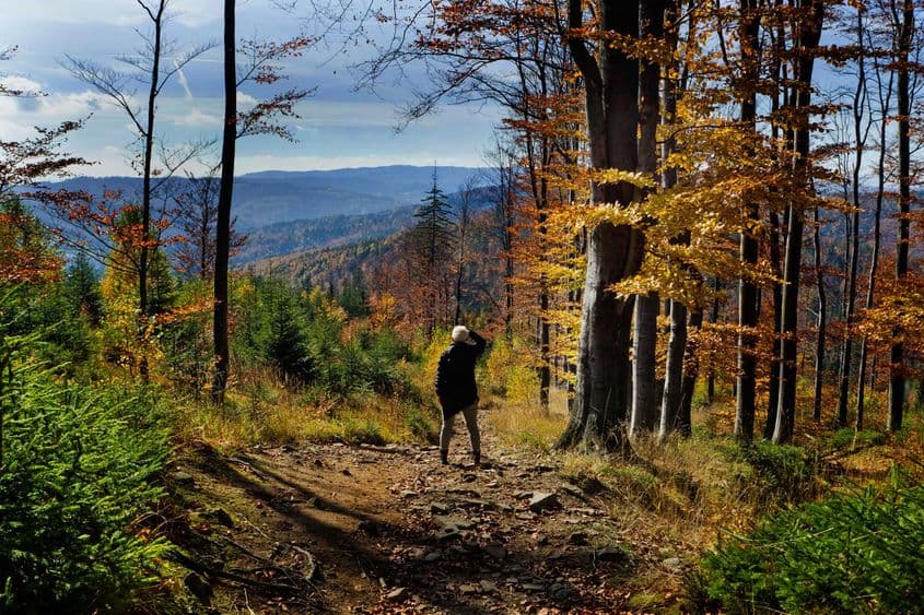 Foto: Janusz Lukomski Prajzner / Dreamstime.com