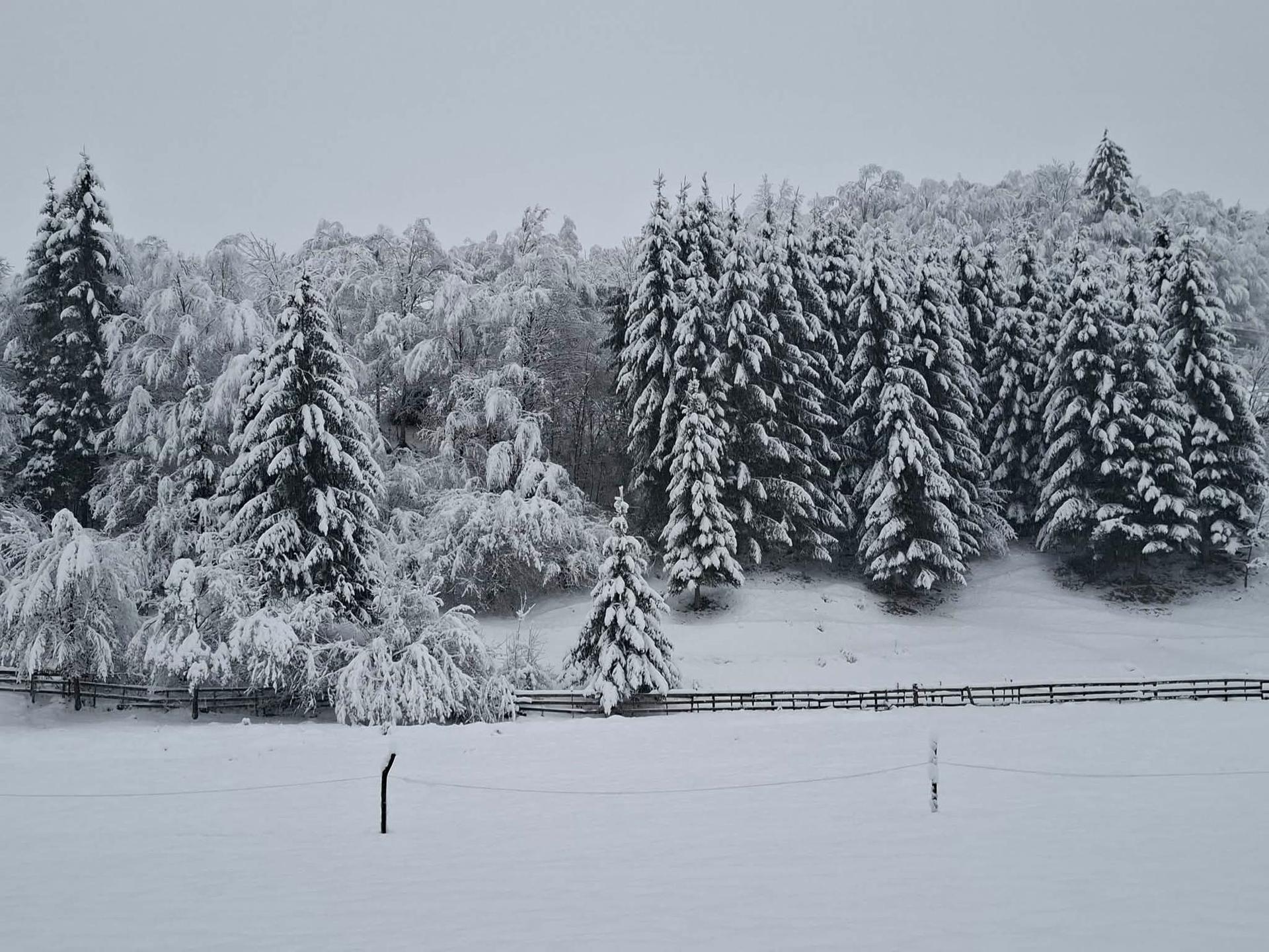 Apuseni. Foto: Raluca Abrudan