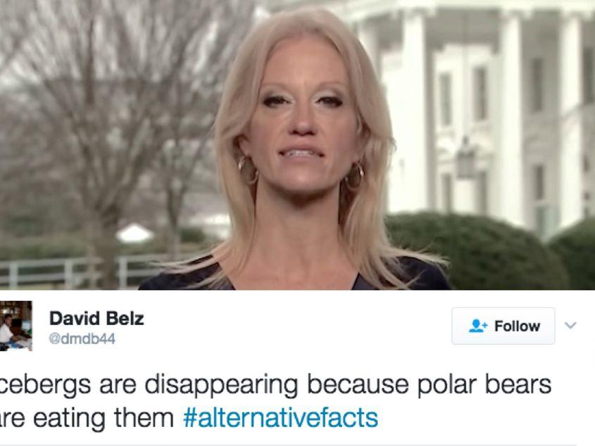 Kellyanne Conway, consilier al președintelui Donald Trump, a devenit ținta ironiilor pe internet după ce a denumit minciunile unui coleg "fapte alternative".