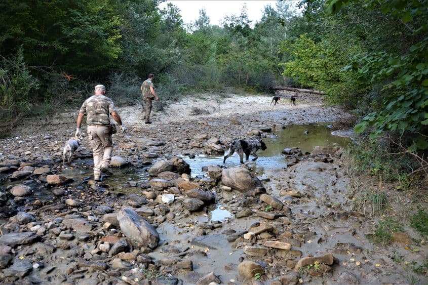 În căutare de noi locuri de cules. Uneori nu se găsește nico trufă, dar rămâne plăcerea căutării. Foto: Viorel Ilişoi