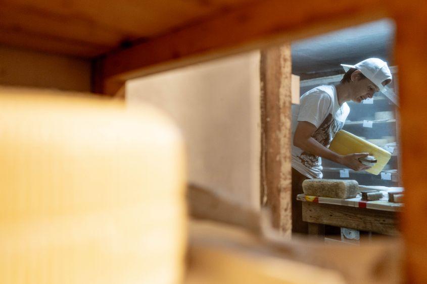 Fotografii: Raul Ștef