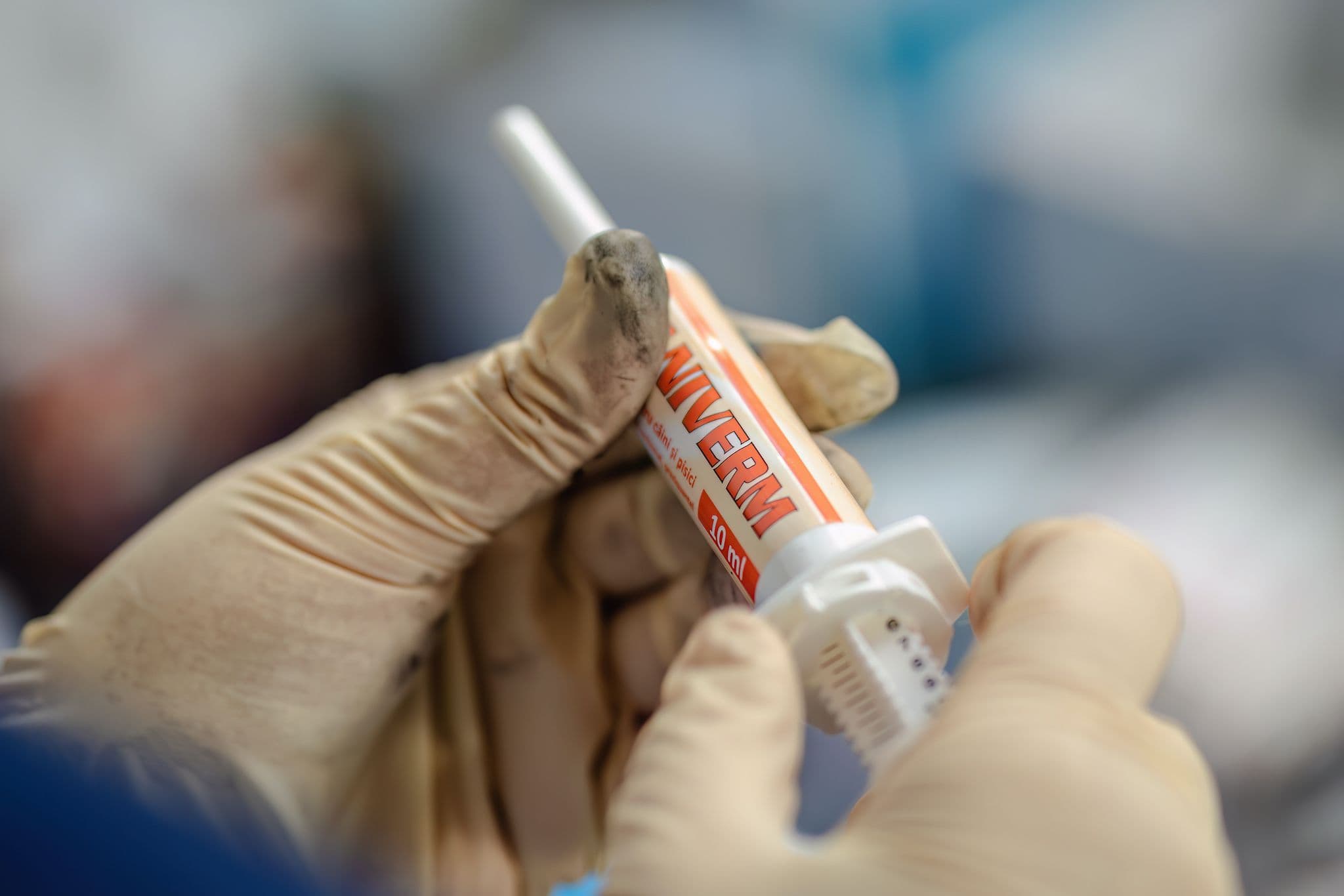 Foto: Loránd Vakarcs