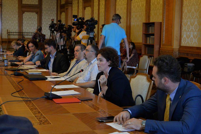 Senatoarea Iulia Scântei.