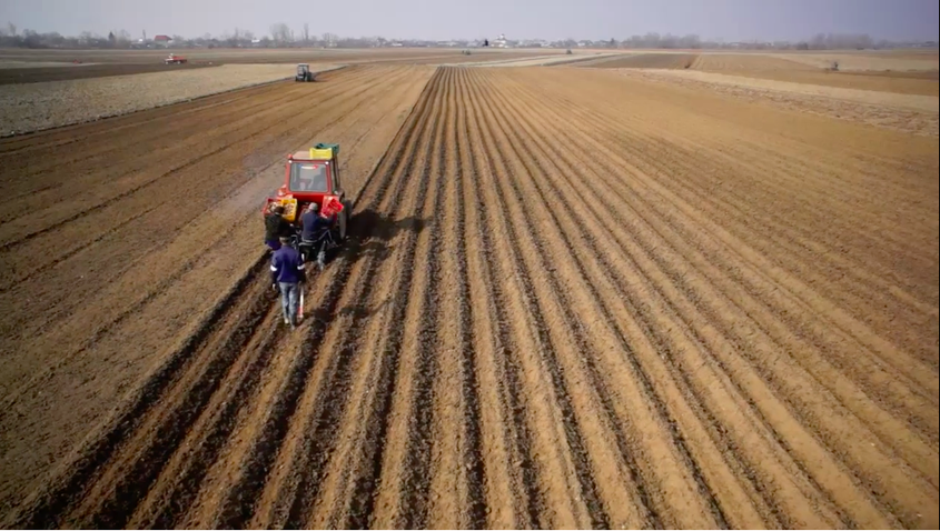 Captură din documentarul „Varză, cartofi și alți demoni”.