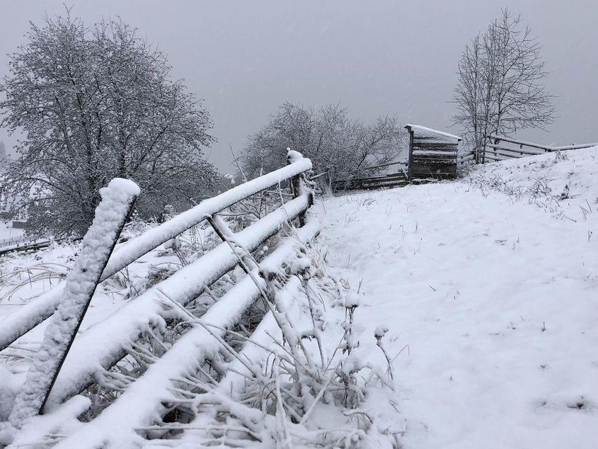 Micul muzeu kitsch din vârful dealului, de unde poți vedea până departe.