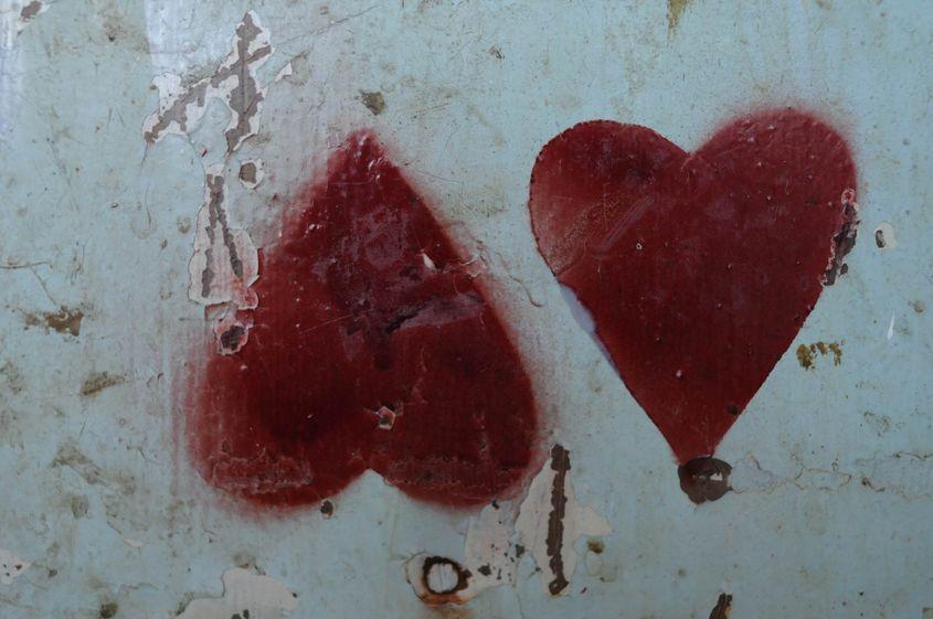 Foto: Lucian Muntean