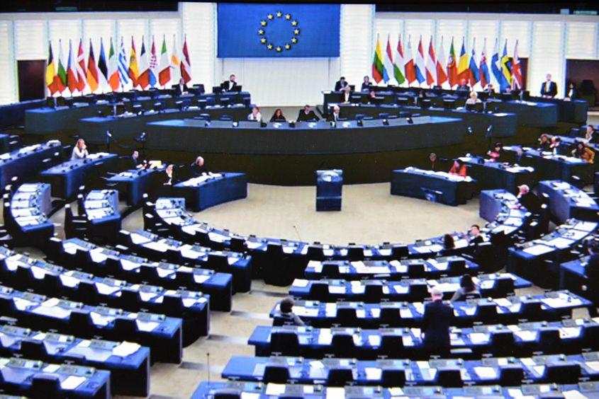 Captură foto din timpul transmisiei live.