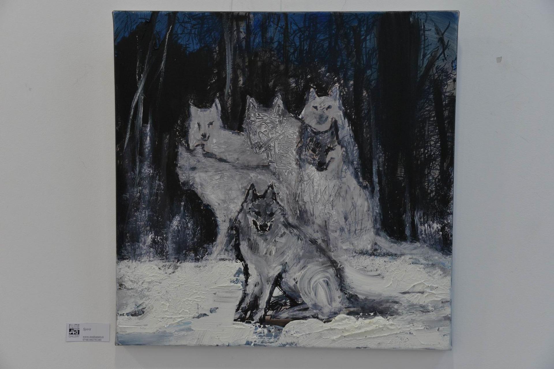 Expoziția <em>Gabrielei Culic. Foto Lucian Muntean</em>