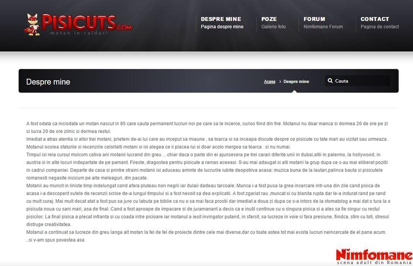 Cum se descria Bogdan Velescu, creatorul Nimfomane.com, pe blogul personal. Captură de ecran via pisicuts.com