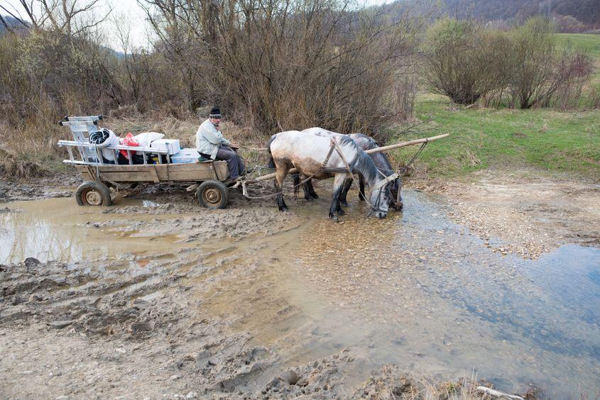 Drumul spre Măleni e brăzdat de un pârâu.