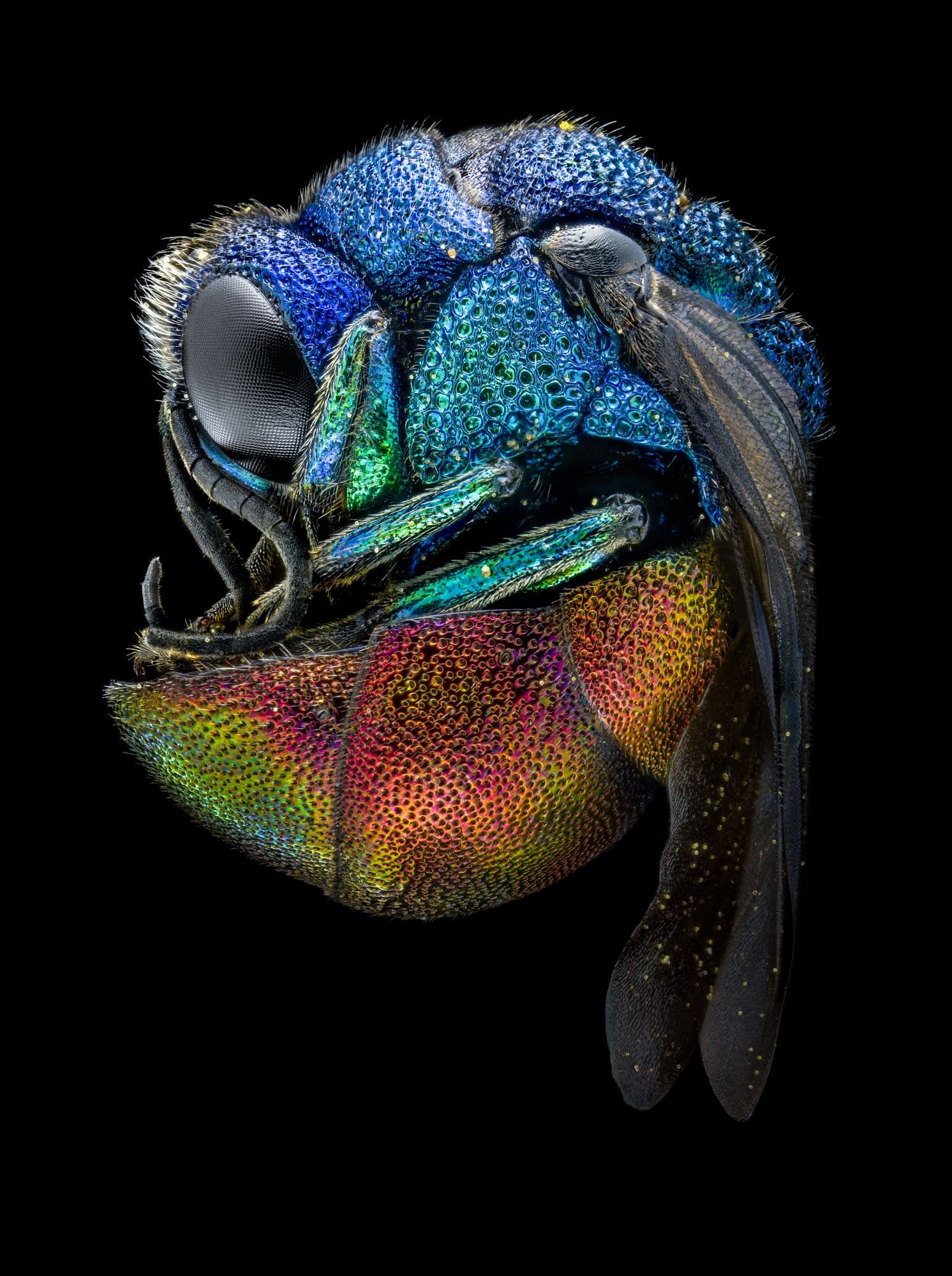 Foto: Eduard Florin Niga