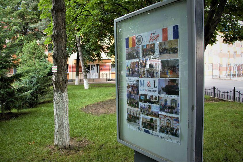 Programele de studiu europene au mare căutare la Hasdeu.