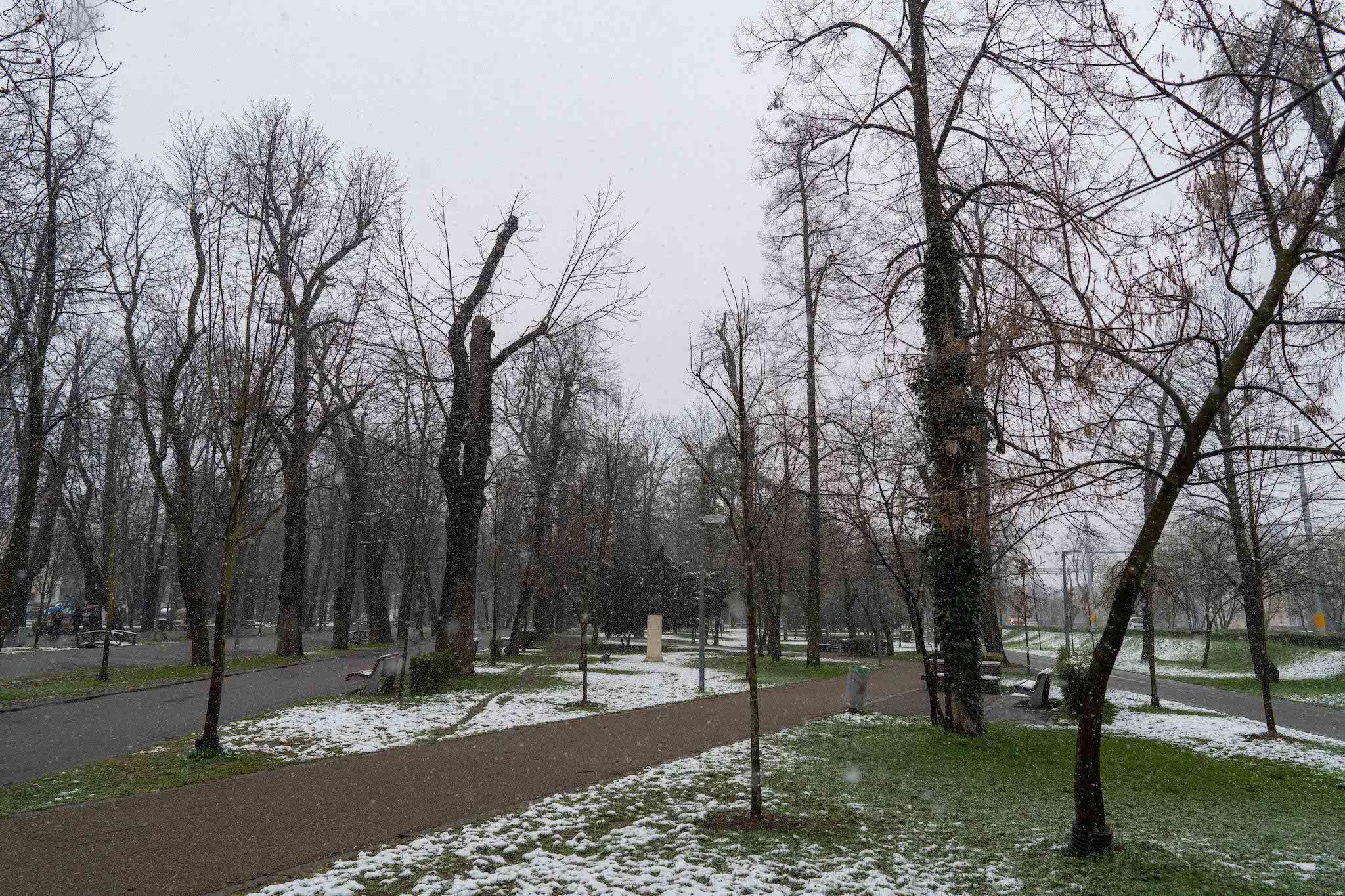 Foto: Raul Ștef