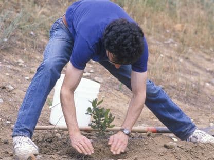 Știri din cealaltă Românie. În Olt oamenii își plantează propria pădure și în Vaslui penitenciarul oferă forță de muncă