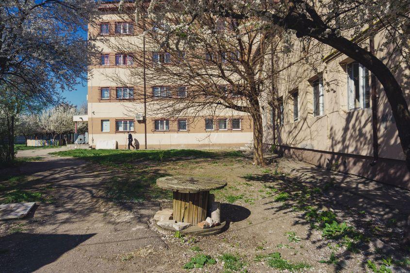 Grădina de la Bălăceanca. Foto: Ioana Epure