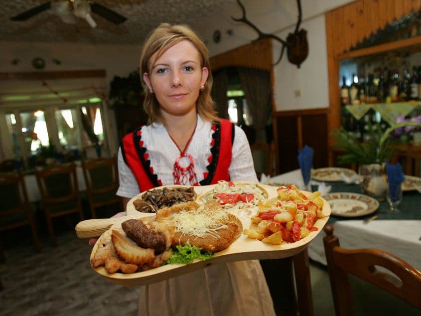 Pensiunile turistice vor fi obligate să ofere wireless gratuit, dacă proiectul de lege al lui Mihai Sturzu va fi adoptat. Foto: Lucian Muntean