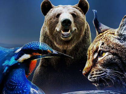 „Europa - un continent, cinci lumi” - Interviu cu Christian Baumeister, regizorul documentarului care deschide Lynx Festival 2025!