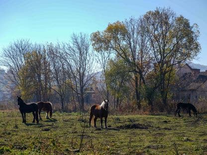 Spitalul și Metroul. Cârtițele s-au apucat de cele mai mari proiecte de infrastructură ale Clujului