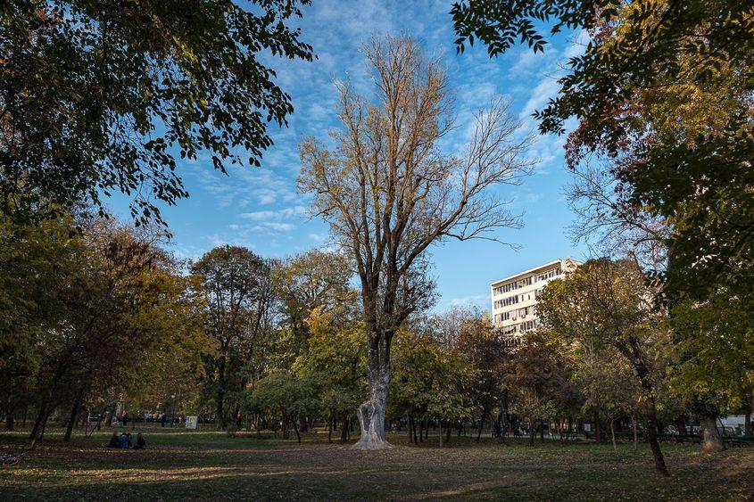 Foto: Grupul de Inițiativă Civică Cișmigiu