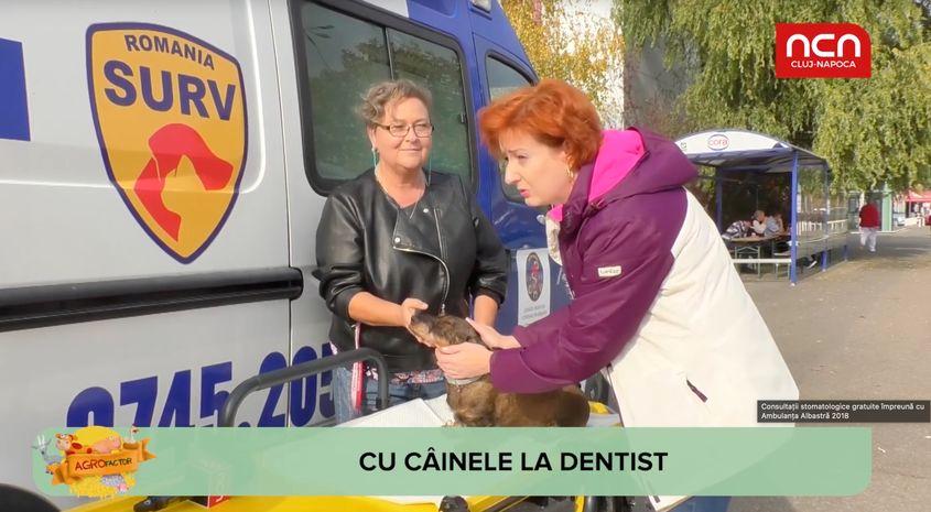 Captură de ecran cu un reportaj realizat de televiziunea locală NCN Cluj despre consultațiile doctorului Nedelea.