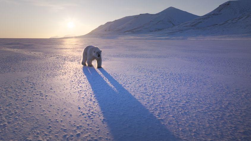 © Christian Baumeister, Light & Shadow GmbH