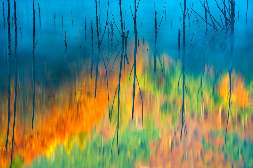 © Gheorghe Popa