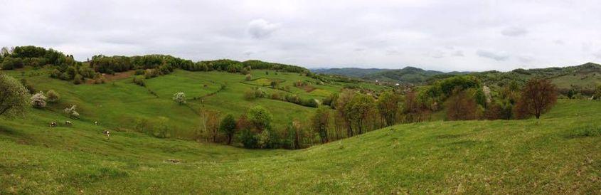 Imagine din Idicel Pădure.