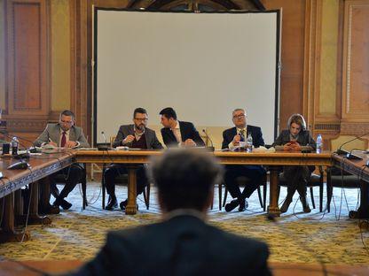 George Ivașcu, în faţa Comisiei de Cultură din Parlament. Foto: Lucian Muntean