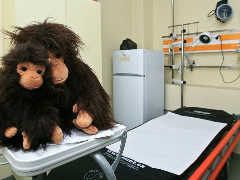 Foto: Lucian Muntean